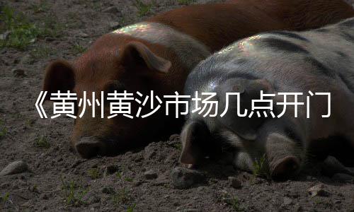 上海松江区黄沙、上海标准黄沙专卖、上海黄沙停靠码头、上海黄沙哪家好
