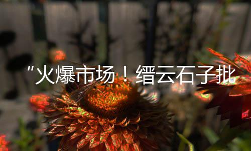 湖北碎石子批发、神木市石子批发、北京石子批发公司、上海石子黄沙批发