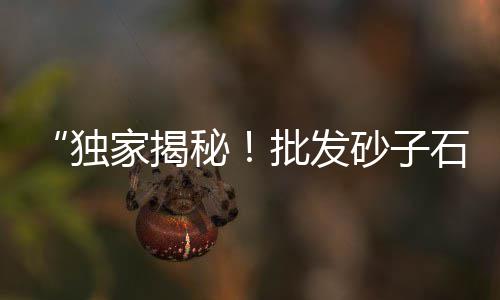 濮阳石子零售、蒲城石子馍西安零售、汉沽区石子零售、宜兴埠石子批发零售