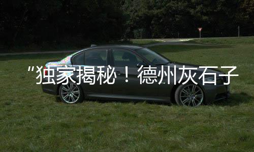 上海水泥雕刻定制、上海水泥砂浆检测报告、上海水泥制品设备批发商、上海水泥回转窑制造商
