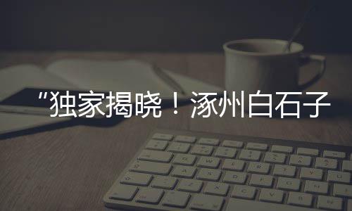 大竹县石子镇猫咪市场、如皋透水石子批发市场、大张庄镇石子建材市场、东莞建材石子批发市场