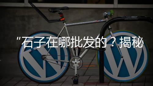 黄沙港土猪肉批发市场、江西黄沙水泥批发配送、批发黄沙商家介绍文案、桥南批发黄沙水泥