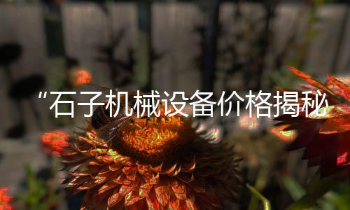 呼和浩特批发石子市场、颍东石子批发市场电话地址、468石子现市场价格、平顶山罐装石子批发市场