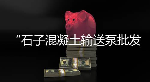 潮汕石子批发市场在哪、天津鱼缸石子批发、石子批发厂家出售、细白石子批发厂家