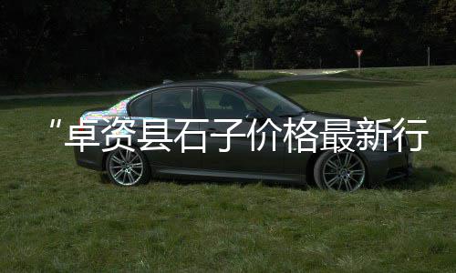 黄沙市场在广州哪个区、黄沙市场油鳝价格多少、广州黄沙市场部门、黄沙市场批发当日收钱