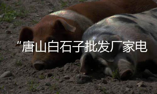 随州市水泥盖板零售厂家、岳龙镇沙子水泥零售店、长寿水泥零售店在哪里啊、濮阳大沙水泥批发零售店