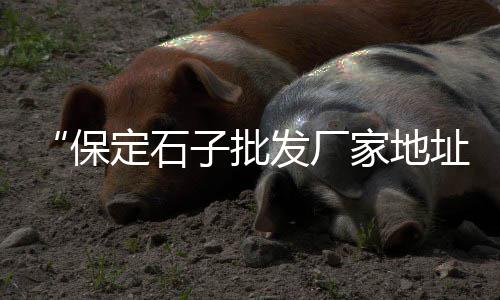 大荔石子馍零售批发地址、长沙红砖水泥沙石子零售、双街镇石子零售店电话、零售黄沙石子没有营业执照