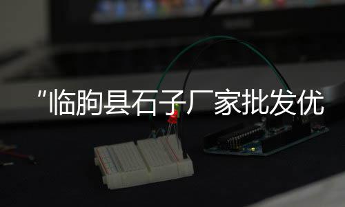 儿童游乐场小石子批发、彩色石子批发地面怎么做、新疆石子批发价格、诸城石子批发市场电话
