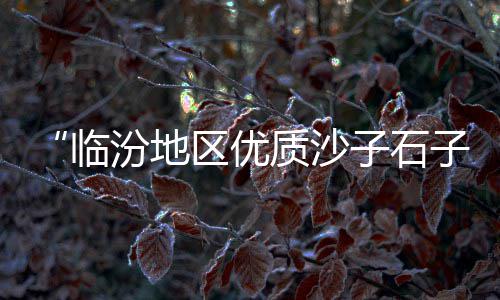 上海石子哪家好、上海黄沙石子市场在哪里、上海最大的石子过驳码头、老上海顺昌路石子路