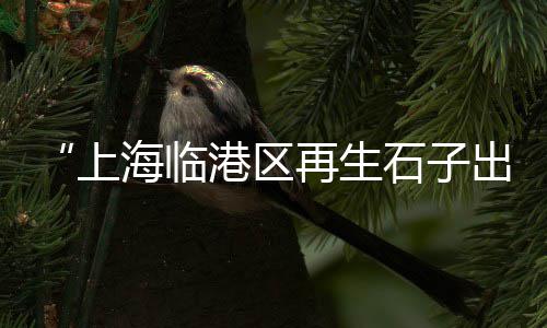 王稳庄镇石子批发零售、仁寿石子零售电话号码、济南凤山路出售石子零售、鲁台附近石子批发零售