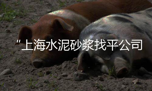 水泥基自流平的市场、庐江二手水泥立柱市场、徐州西区水泥批发市场、安化二手水泥柱子市场