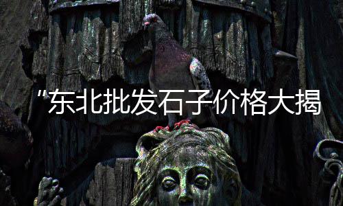 莒县收石灰岩石子市场地址、合肥回笼石子批发市场、周口石子建材批发市场、德宏石子批发市场在哪