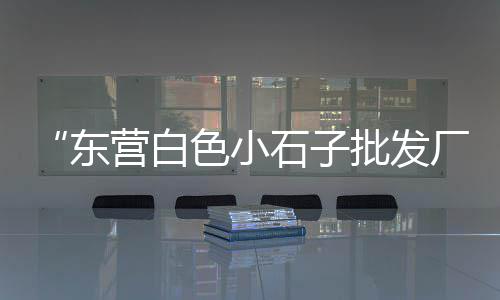 海阳石子批发市场、涿州白石子批发市场地址、淄博小石子批发市场地址、连云港二手石子机械市场