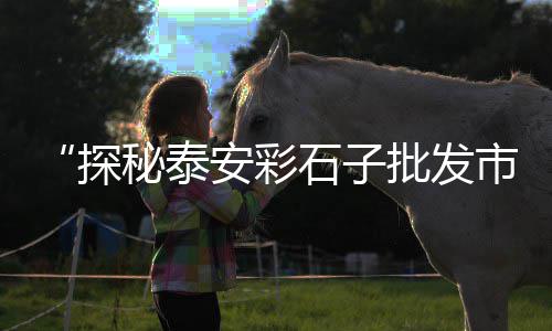 泰州水泥砖价格多少、小榄水泥空地出租价格、常州多层水泥库价格多少、河南周口钢筋水泥价格