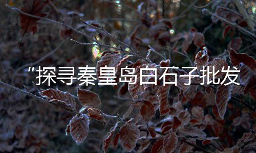 章丘黄沙水泥零售电话、娄底水泥河沙零售、西昌水泥零售店、辛庄砂子水泥零售