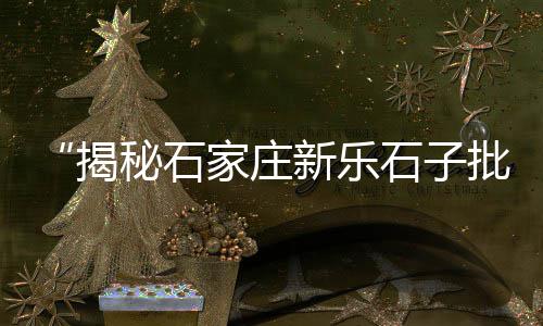 石子厂什么价格合适、上海石子沙子价格、储石子的价格、铜陵石子上船价格