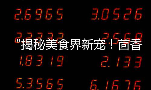 上海水泥黄沙加气块、上海黄沙水泥厂家电话、上海黄沙贴砖厂家有哪些、上海今年黄沙多少一吨