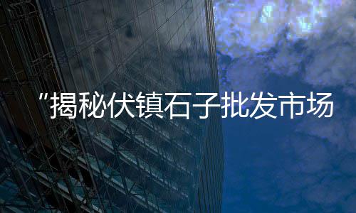 石子河手机配件批发市场、肥城小石子批发市场在哪、莆田碎石子批发市场、唐山夜光石子批发市场