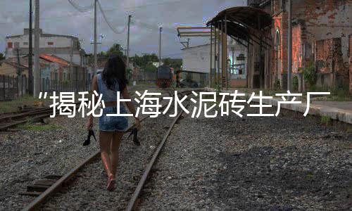 石子厂销售市场调查报告、霍山石子市场价格多少钱、东莞市石子批发市场地址、佛山南海附近的石子批发市场