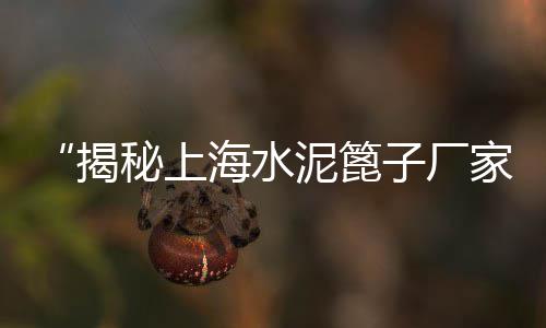 上海水泥黄沙批发价格、上海普陀区黄沙码头、上海临港求购黄沙水泥、上海黄沙烘干机厂家