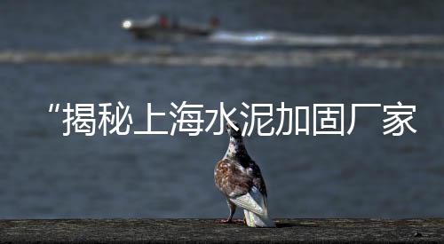 水泥市场价多少钱河北省、年前水泥市场需求、水泥市场情况怎么写、喜德县水泥市场