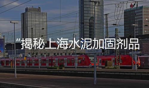 上海水泥柱木纹漆施工队、上海水泥排水井盖板定制、上海水泥厂产品介绍视频、上海水泥阻锈剂厂家地址