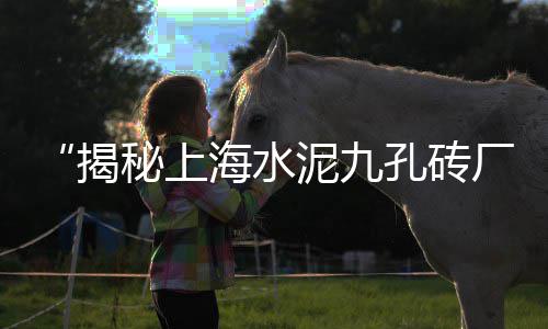 新黄沙市场多久才会搬迁、黄沙市场冻辽参、黄沙市场榴莲价格多少、黄沙市场搬迁了吗
