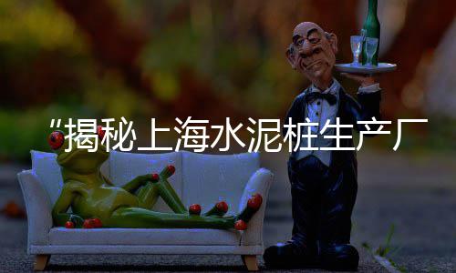 建筑用青石子价格、滁州市石子价格、上海石子瓜米价格、贵阳市石子价格