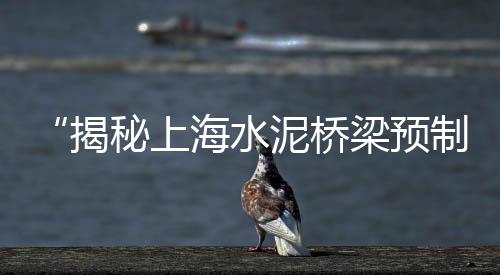 广州黄沙田螺零售电话、邳州黄沙零售、黄沙零售配送、淮北黄沙零售