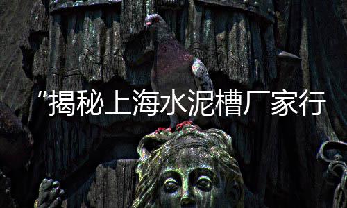 上顶石子价格走势、荣县石子的价格、吕梁胶粘石子价格、忻州白石子价格