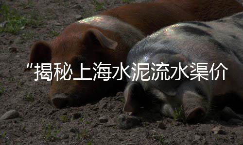 钢管去水泥有市场吗?、伊川水寨水泥建材市场、西宁建材市场水泥修复、扶绥建材市场水泥条