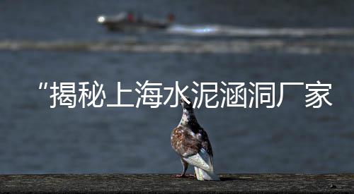 上海黄沙水泥石子直销电话、上海黄沙滩挖螃蟹、上海本地黄沙配送、水泥黄沙上海全城配送