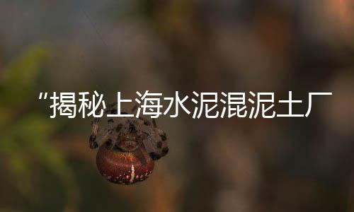 黄沙市场搬运工工资高吗、黄沙市场台球厅在哪里、市二宫步行到黄沙市场、黄沙市场鲫鱼价格多少钱