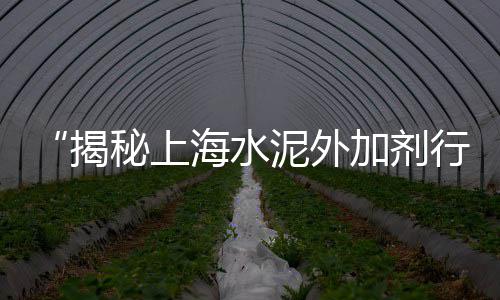 上海水泥黄沙种类、上海黄沙源头工厂、上海黄沙运输站、黄沙上海滩