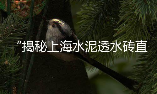 低价批发石子多少钱、康县碎石子批发、临溪镇沙石子批发、西安沙子石子水泥批发