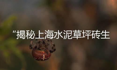 上海水泥护栏价位表最新、上海水泥磨石地坪厂家地址、上海水泥仿真工程师、上海水泥路面改色涂装