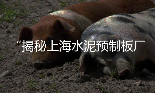黄石市彩色石子批发市场、阳谷县灰石子厂家批发市场在哪、石子市场价多少钱一斤啊、淄川区白石子厂家批发市场在哪