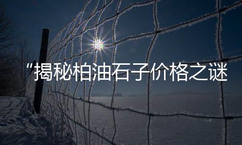 上海水泥价格、上海水泥漆、上海水泥装卸、上海水泥罐