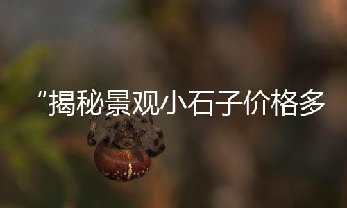 上海宝山区黄沙、上海扛水泥黄沙、上海高桥黄沙码头、上海蛋黄沙批发