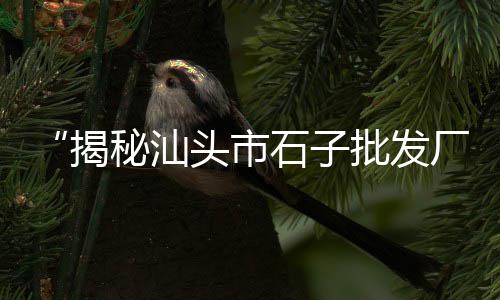 上海水泥槽罐车、上海水泥钢板仓安装工资、上海水泥制作企业排名榜、上海水泥钢板库制造厂家
