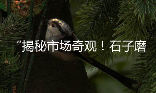 黄沙石子零售批发厂家在哪里、常州水泥黄沙批发零售店、荆门黄沙零售店地址电话、宿迁水泥黄沙批发零售店