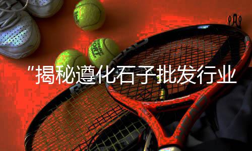 石子和砖的价格、石子价格与直径、普通白石子价格、上蔡的石子价格