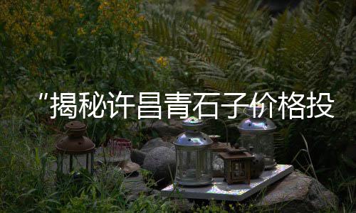 上海大龙黄沙石子、上海市黄沙石子、上海崇明黄沙港开发项目、上海水泥黄沙加盟