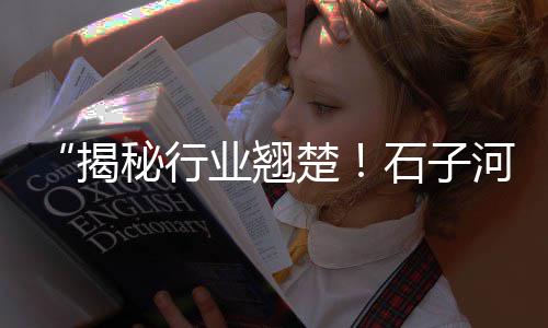 上海收购石子的厂家地址、上海周边徒步石子路线、上海石子破碎加工厂地址、上海碎石子价格一吨