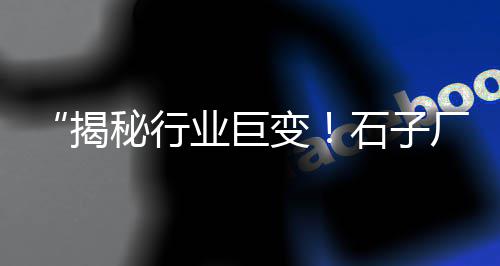 重庆批发石子、北京水泥石子批发、广东透水地坪石子批发、批发大沙石子水泥马头