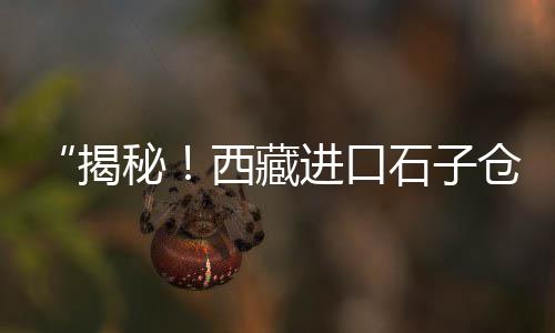武汉水泥制品市场、水泥预制构件市场现状、北京纳米水泥市场价、今日曲靖水泥市场价