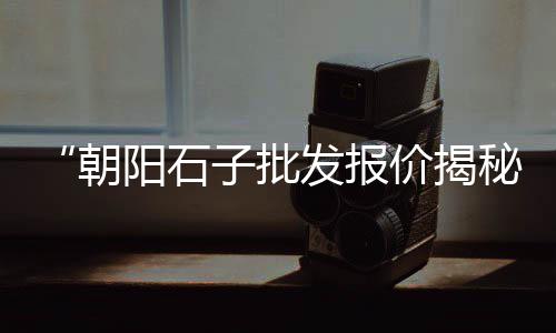 国家对水泥市场的政策、2023年水泥市场前瞻、水泥市场怎么推广的、广东水泥黄沙市场