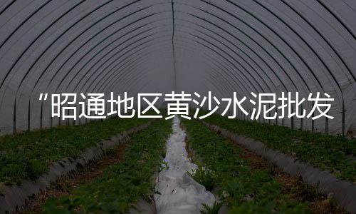 肇庆水泥增稠剂批发商、水泥标砖批发、优质水泥涵管批发、水泥桩模具批发