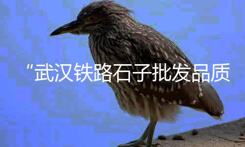 大荔黄沙批发市场在哪、安徽蒙城黄沙批发、迷你黄沙蚬批发、宁波黄沙码头批发
