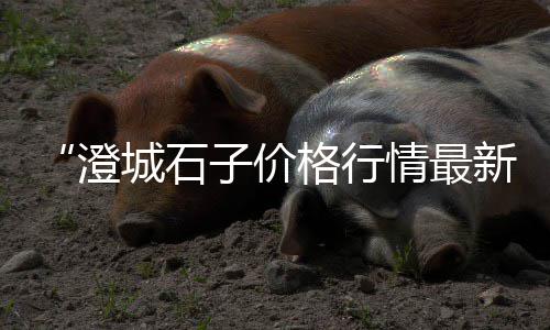 仁寿石子价格、打包石子价格、桐柏石子价格、娄底石子价格